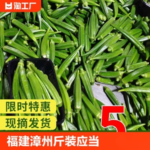 福建漳州新鲜水果秋葵约5斤装应当季蔬菜黄秋葵羊豆角3斤现摘现发