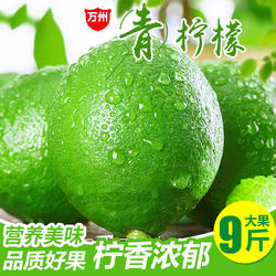 万州青柠檬新鲜大果青柠当季香水果皮薄多汁奶茶店整箱包邮批发