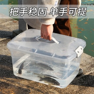 钓箱加厚新款手提水桶车载活鱼桶养殖箱乌龟饲养缸鱼缸特大号超大