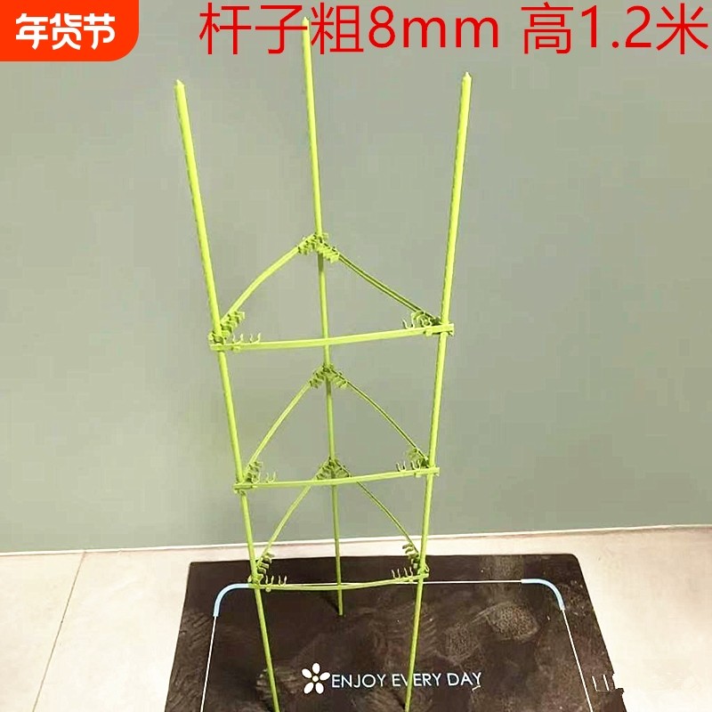 阳台番茄花黄瓜支撑杆固定支架架子爬西红柿种植盆花藤架种菜葡萄,鲜花速递/花卉仿真/绿植园艺,花架,淘宝优惠券,粉丝福利购,淘宝优惠卷