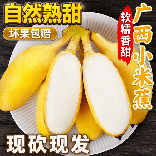 正宗广西小米蕉新鲜|117人收藏