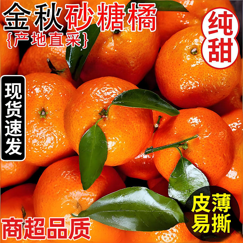 现摘广西砂糖橘新鲜水果当季现摘蜜桔金秋沙糖桔橘子大果整箱包邮,水产肉类/新鲜蔬果/熟食,桔子,淘宝优惠券,粉丝福利购,淘宝优惠卷