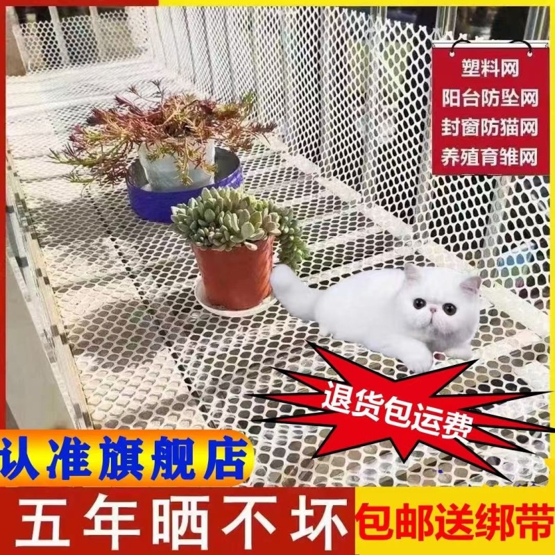 整张塑料养殖网鸡鸭鹅育雏网垫漏粪网羊床养蜂养蚕水产防护网