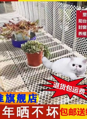 整张塑料养殖网鸡鸭鹅育雏网垫漏粪网羊床养蜂养蚕水产防护网