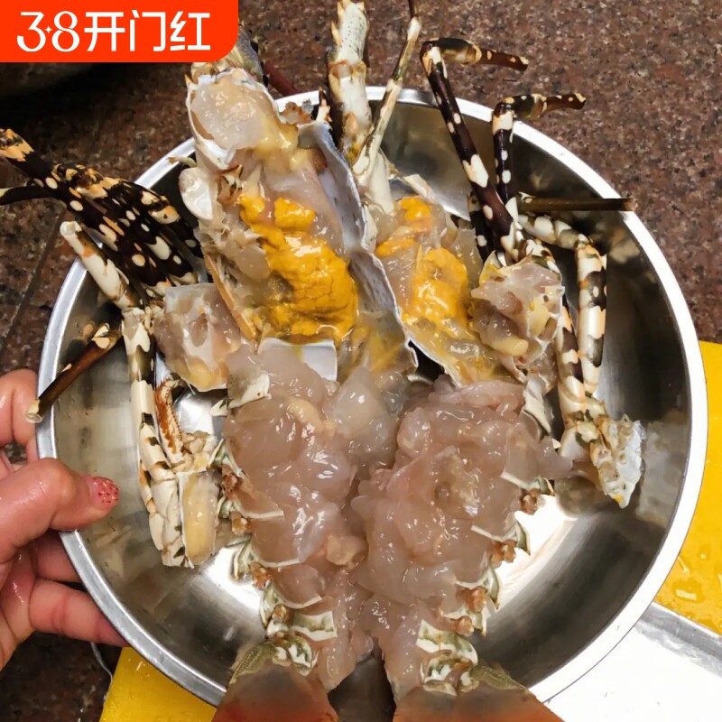 探味岛【顺丰包邮】海捕新鲜小青龙小龙虾鲜活冷冻花龙澳龙大青龙