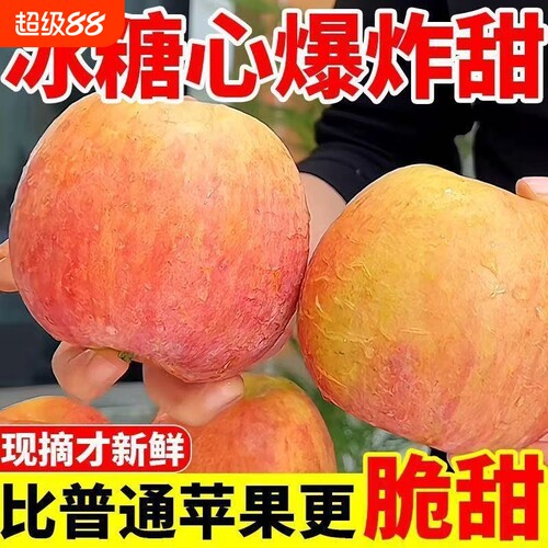 甄正宗红富士苹果水果新鲜应季膜袋丑平果当季冰糖心脆甜现摘