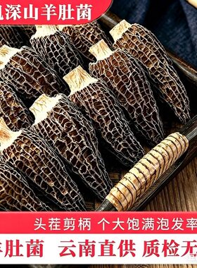 【都是回头客】精品羊肚菌干货