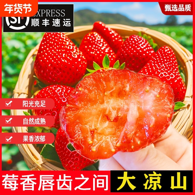 大凉山新鲜草莓露天孕妇水果当季甜红颜牛奶奶油梅顺丰现摘99冬,水产肉类/新鲜蔬果/熟食,草莓,淘宝优惠券,粉丝福利购,淘宝优惠卷