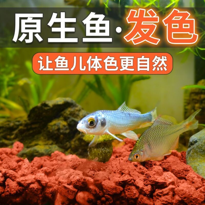 火山石鱼缸造景底砂装饰石头古法养鱼滤材专用水草泥天然底沙颗粒