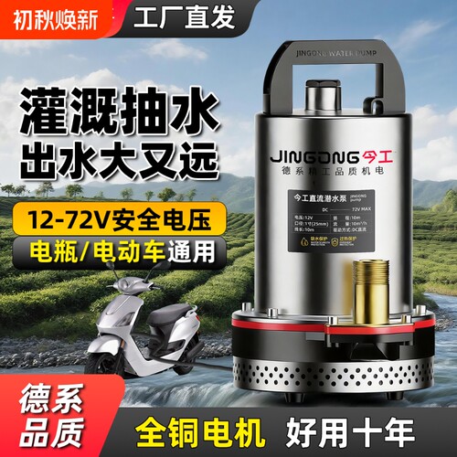 12v48v60v72v抽水泵电动车抽水泵电瓶车专用抽水泵农用直流潜水泵