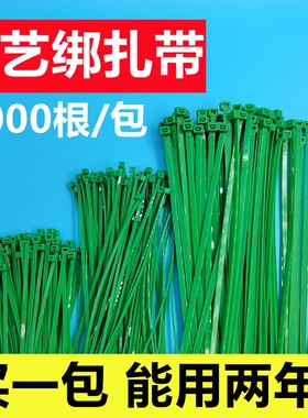 1000根/包用一年绿色园艺扎带一拉得园林捆绑固定塑料绑带绑扎