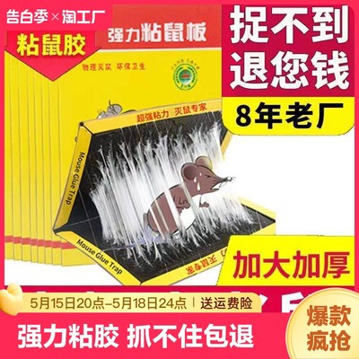 20张老鼠粘强力粘鼠板捕鼠神器超强老鼠贴家用一锅端粘贴耗子灭鼠