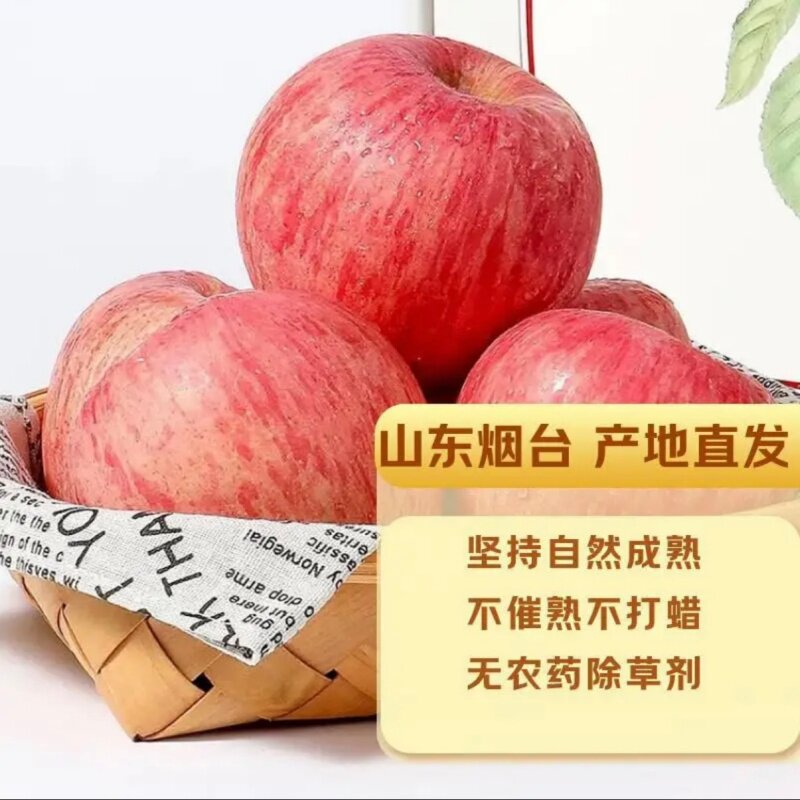 山东烟台红富士苹果脆甜水果丑苹果栖霞条纹不打蜡孕妇整箱发包邮