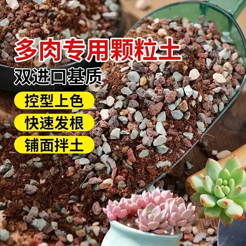 多肉养分土壤颗粒专用土壤种植多肉土壤花卉栽培通用泥植物花土铺