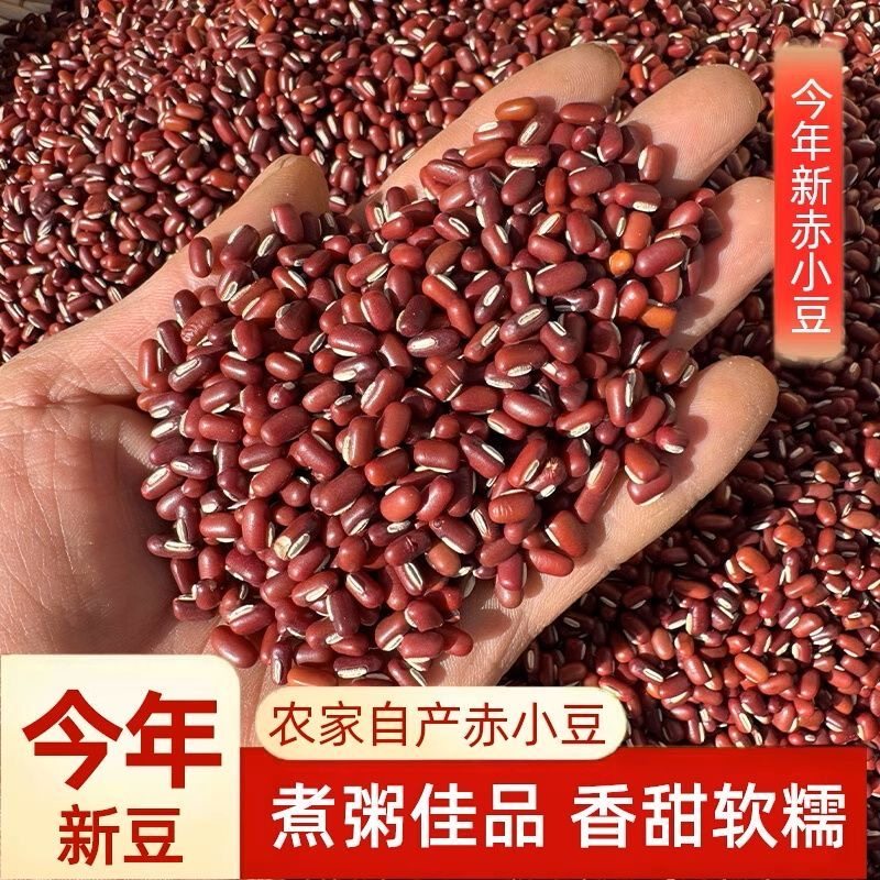 2025贵州农家自产自种赤小豆五谷杂粮赤豆新货小赤豆薏米花生新豆