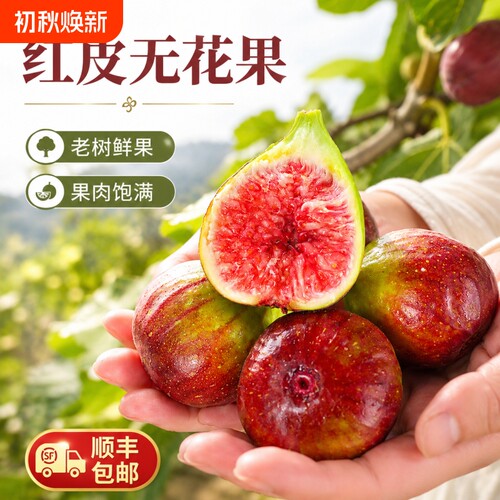 【顺丰包邮】红皮新鲜无花果软糯