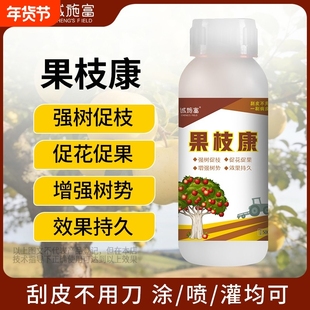 【果枝康】诚施富腐烂流胶轮纹专用柑橘桃苹果树枝干症肥料清园