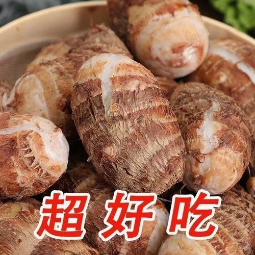 云南高山现挖新鲜牛奶毛芋头当季