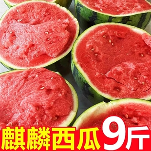 正宗冰糖麒麟西瓜超甜薄皮美都瓜现摘无籽有籽新鲜应季水果