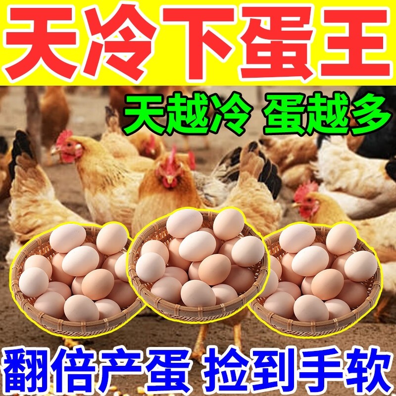 鸡下蛋专用蛋多多增蛋宝鸡鸭鹅鸽下蛋饲料催鸡下蛋增产专用产蛋灵