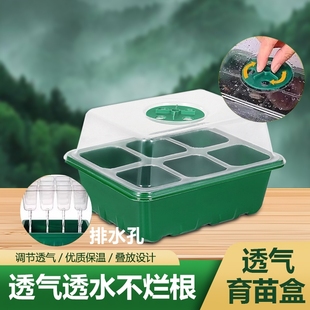 穴盘托盘带盖 6孔育苗盒带加厚三件套播种透气扦插神器保温保湿
