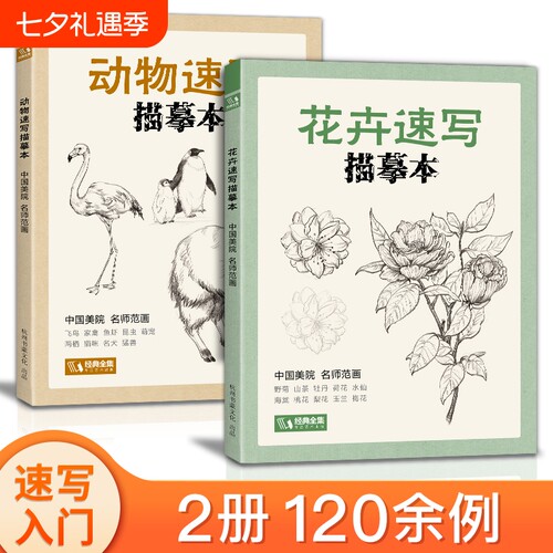 花卉动物速写描摹本手绘基础