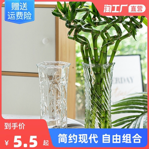 创意大号水培玻璃花瓶富贵竹百合鲜花插花瓶桌面客厅装饰摆件玄关