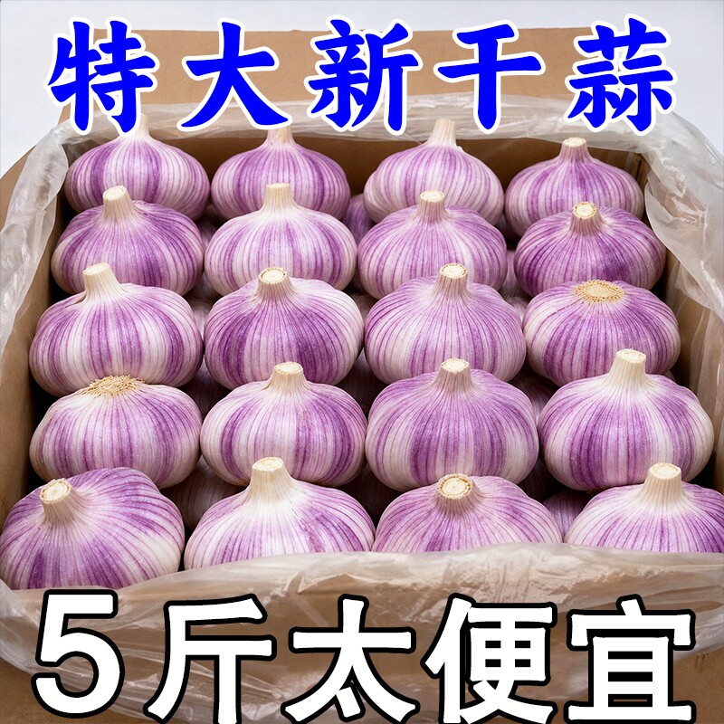 干蒜金乡大蒜精选特大果山东紫白皮批发新鲜大蒜头鲜蒜当季自种