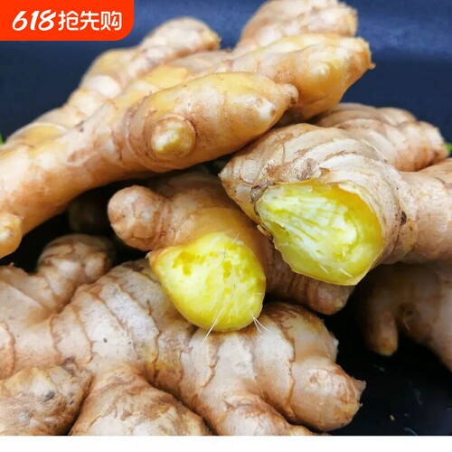 生姜新鲜老姜现挖小黄姜3斤5斤