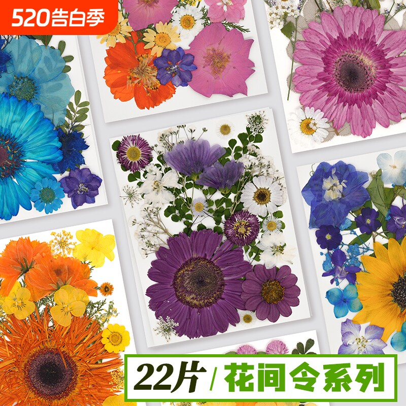 干花压花植物标本手工diy材料包滴胶手机壳相框装饰画押花贴纸