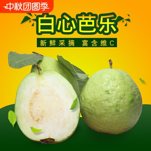 广西白心芭乐白肉番石榴