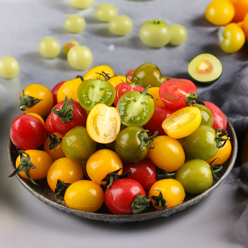 东北发新鲜三色小番茄西红柿顺丰可选圣女果青甜小柿子多色番茄
