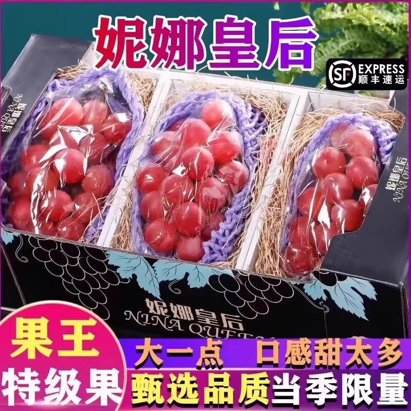 正宗妮娜皇后葡萄红宝石无籽红提新鲜孕妇水果