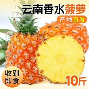 云南菠萝新鲜水果10斤应当季手撕凤梨金钻波罗粉色整箱包邮