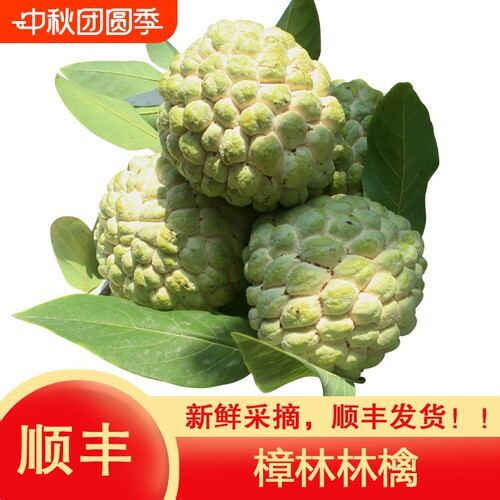 顺丰潮汕樟林林檎大目释迦果大个番荔枝佛头果牛奶释迦摩尼果水果