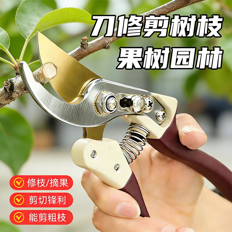 园艺剪刀树枝专用果树修枝园林剪枝花艺剪SK5钢剪子修剪花卉弹簧图片
