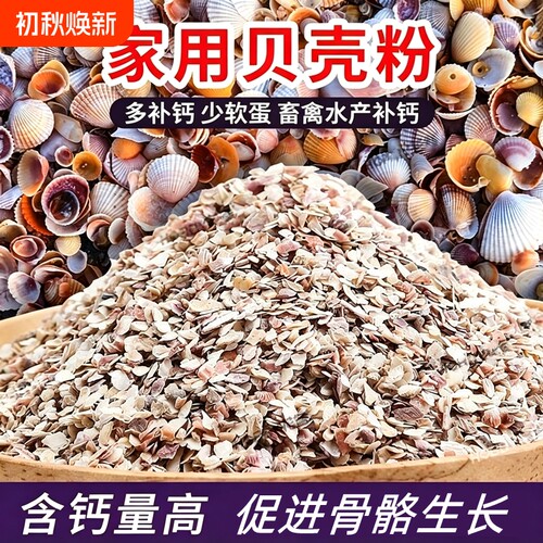 家禽用高钙贝壳粉补钙饲料添加