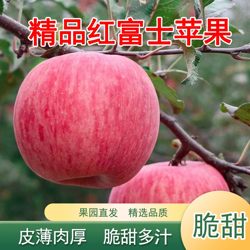 正宗条纹红富士苹果新鲜水果晚熟红富士脆甜多汁皮薄肉厚