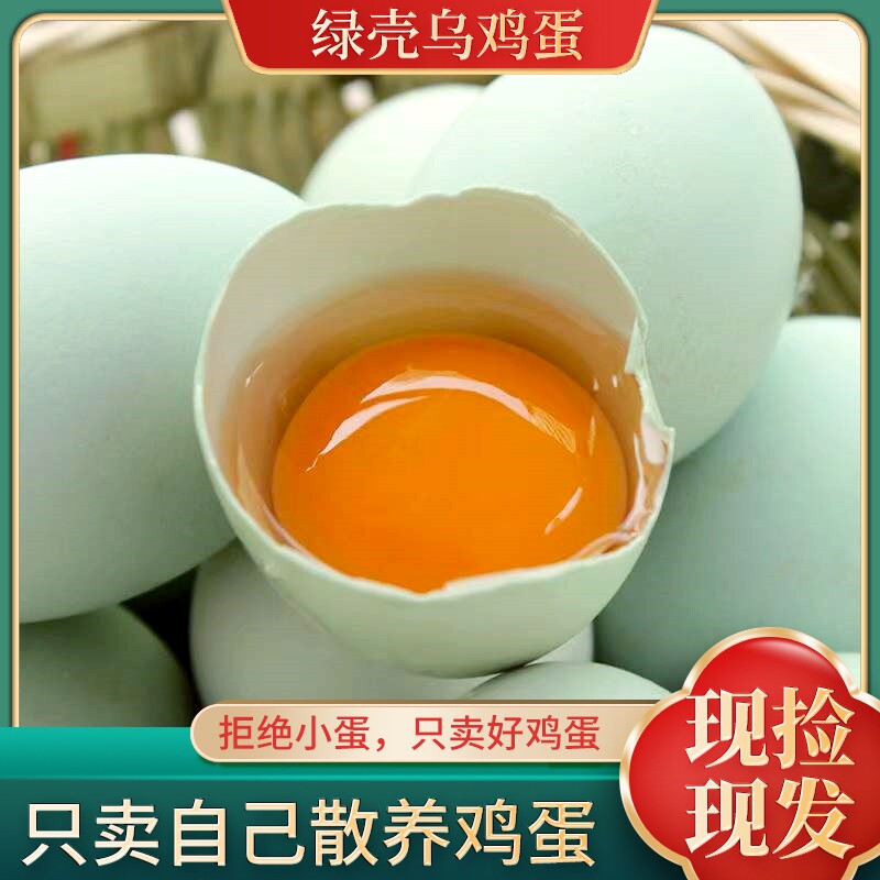 新鲜绿壳蛋乌鸡蛋农家散养新鲜柴鸡蛋草鸡蛋青皮蛋月子蛋