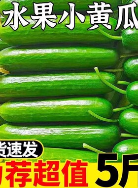 新鲜水果黄瓜脆嫩|超1.5万次加购