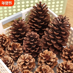 松果球松塔diy材料装饰摆件创意手工天然松树干果幼儿园环创材料