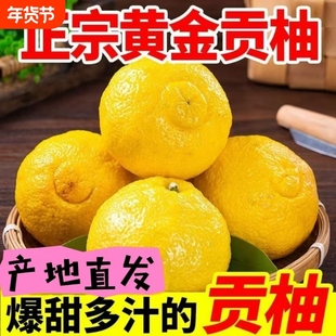 正宗洪江湖南怀化黄金贡柚雪峰山大果新鲜水果象山青手剥桔春香柚