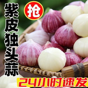 正宗云南紫皮独头蒜 鲜辣圆整 干制蒜头辛辣香 当季新蒜包鲜发