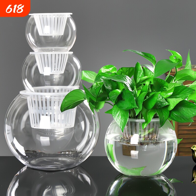 创意水培瓶植物透明玻璃花瓶花盆共养缸水养摆件器皿桌面极简吸水