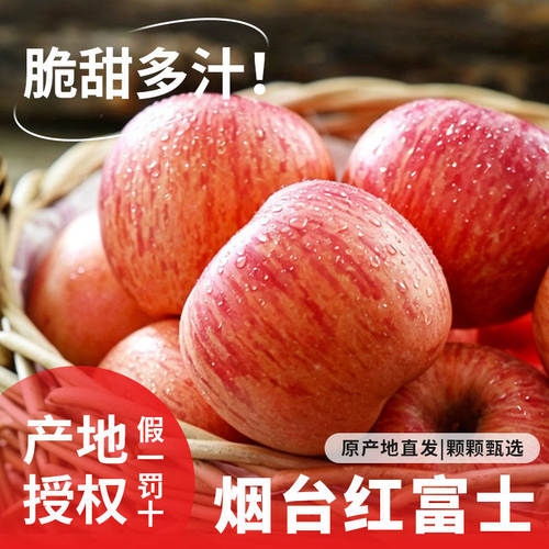 烟台红富士苹果当季孕妇新鲜水果脆甜整箱栖霞正宗产地直发精选
