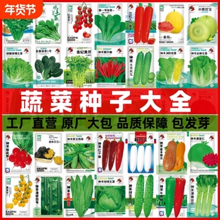 蔬菜种子四季播辣椒西瓜籽孑香菜春季蔬菜大全菠菜白菜四季豆番茄