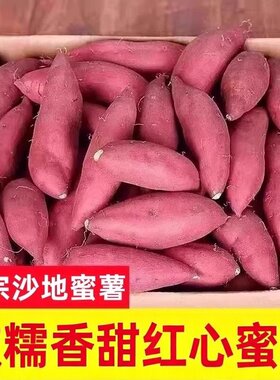 沙地蜜薯新鲜红薯农家香甜薯红心烤地瓜糖心鲜番薯山芋板栗薯自提