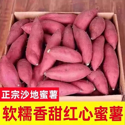 沙地蜜薯新鲜红薯农家香甜薯红心烤地瓜糖心鲜番薯山芋板栗薯自提