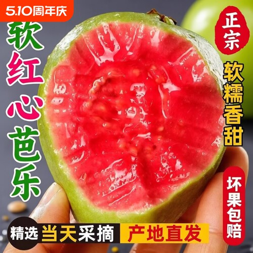 福建红心软芭乐低热量饱腹强番石榴软脆两吃低糖现摘鲜发水果