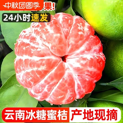 云南蜜橘新鲜水果9斤青皮蜜桔应季桔子薄皮橘子孕妇整箱包邮现摘